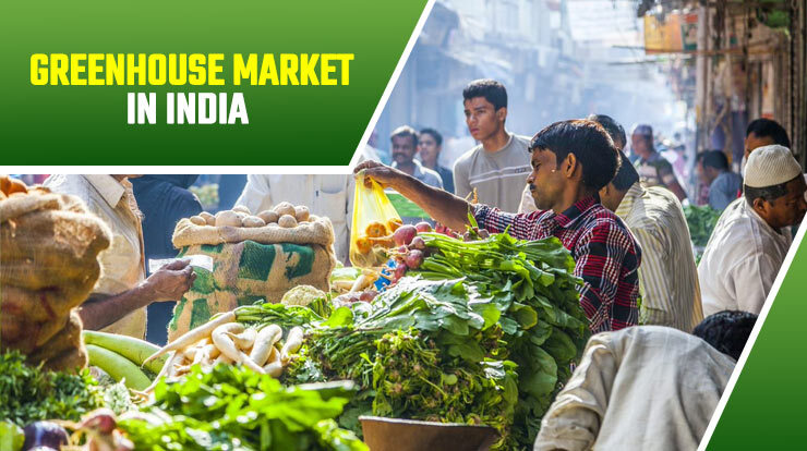 Greenhouse Market in India