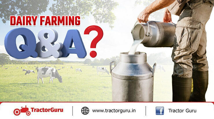 Top 15 Dairy Farming Questions and Answers - Dairy Farming Guide