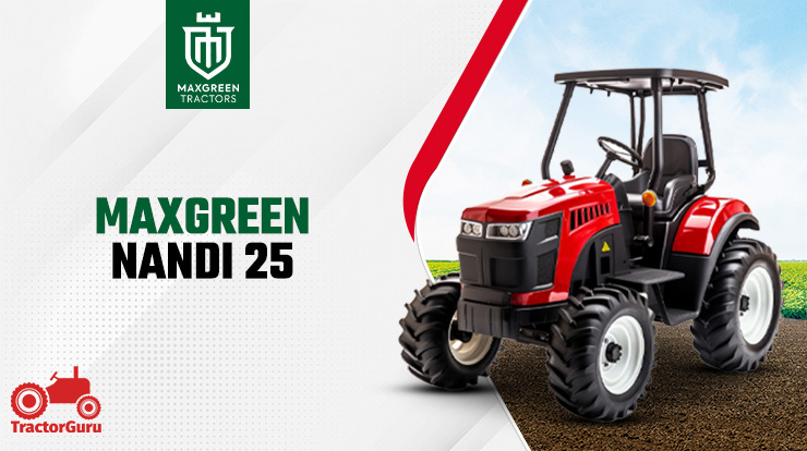 Maxgreen Nandi 25