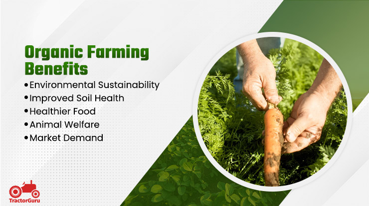 Organic Farming Benefits