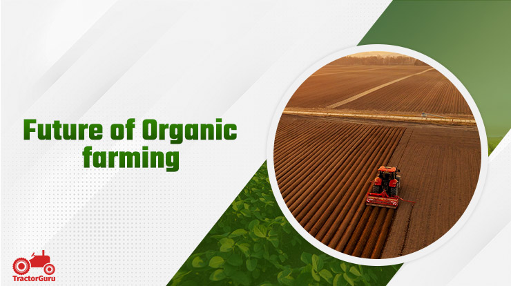 Future of Organic Farming 