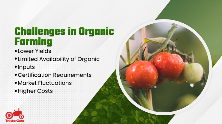  Challenges in Organic Farming