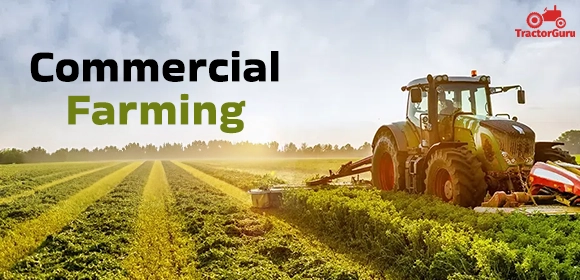 Commercial Farming