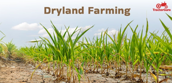 Dryland Farming
