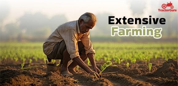 Extensive Farming