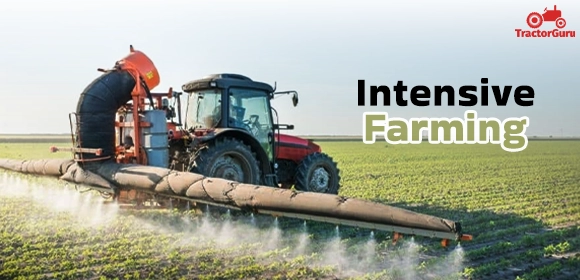Intensive Farming