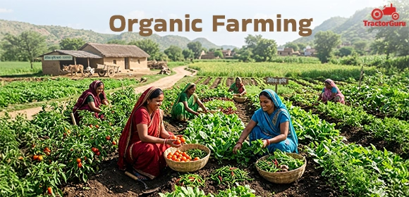 Organic Farming