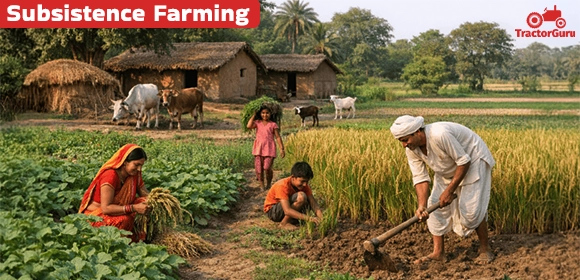 Subsistence Farming