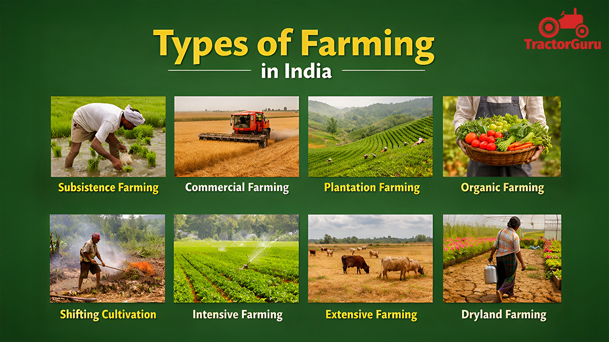 Types of Farming in India: Traditional, Modern, & Advance