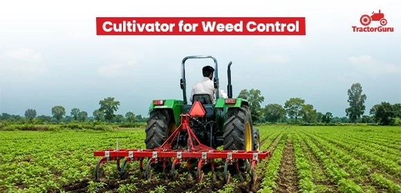 Cultivator for Weed Control - 2