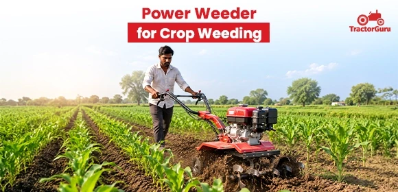 Power Weeder for Crop Weeding