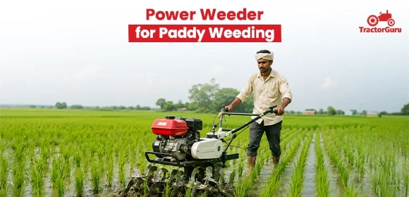 Power Weeder for Paddy Weeding