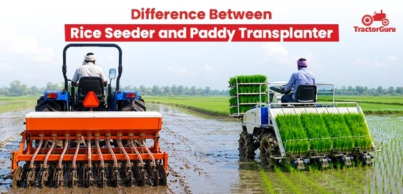 Difference Between Rice Seeder and Paddy Transplanter