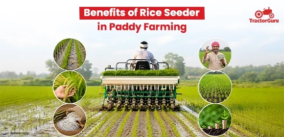 Benefits of Rice Seeder in Paddy Farming