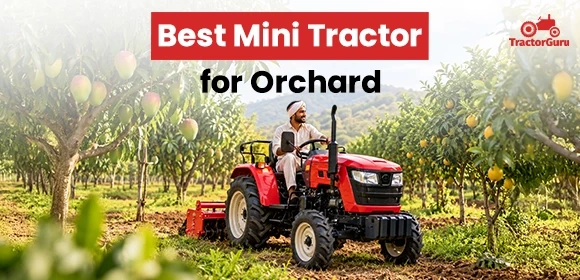 Farmer driving a compact red mini tractor through a fruit orchard.