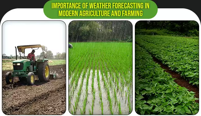Importance of Weather Forecasting in Modern Agriculture and Farming