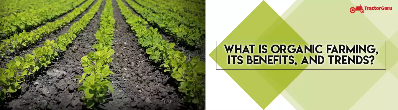 What is Organic Farming, its benefits, and trends?