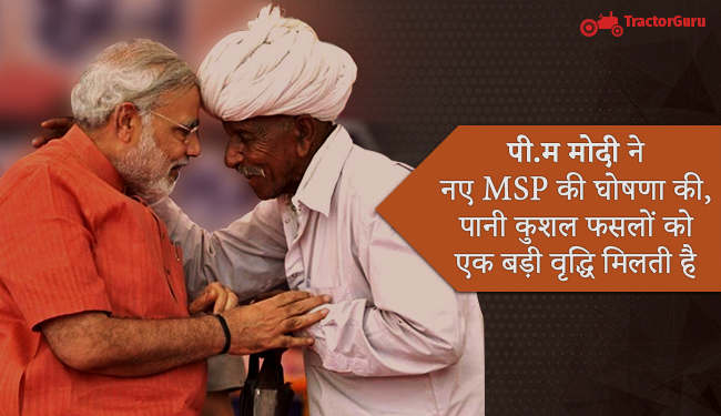 सरकार ने नए MSP की घोषणा की, पानी कुशल फसलों को एक बड़ी वृद्धि मिलती है