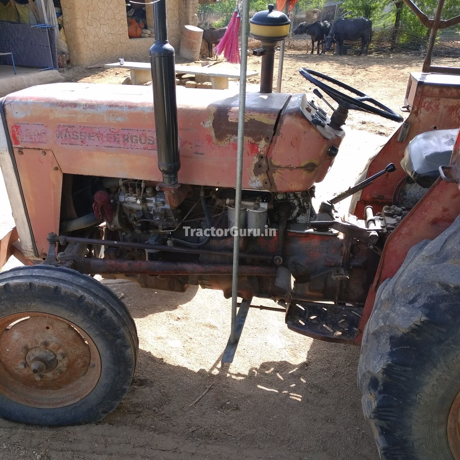 Massey Ferguson 245 DI