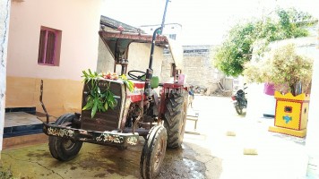 Massey Ferguson 241 DI