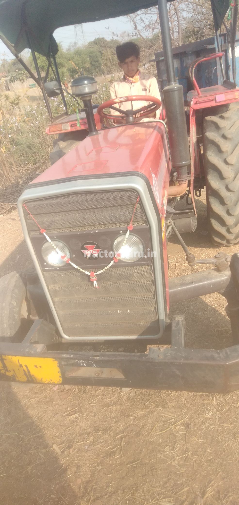 Massey Ferguson 241 DI MAHA SHAKTHI Mahaan