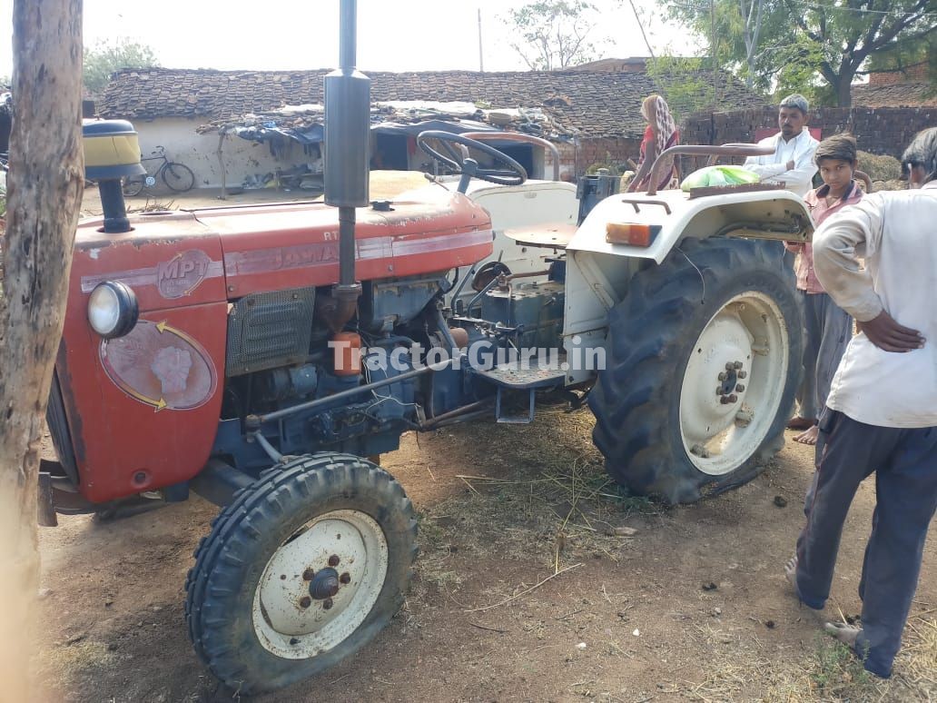 Escorts 325