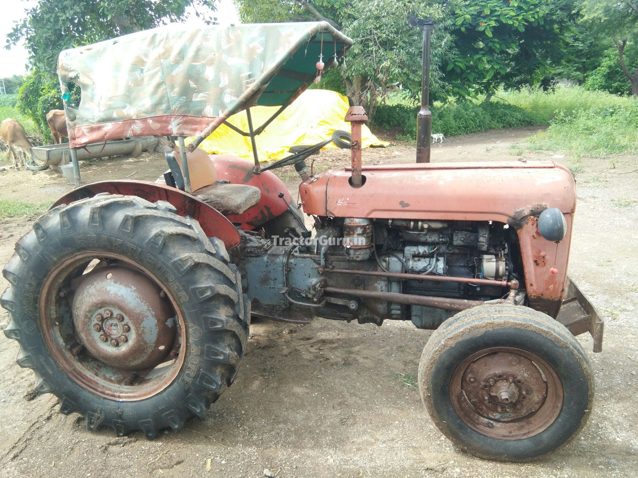 Massey Ferguson 1035 DI
