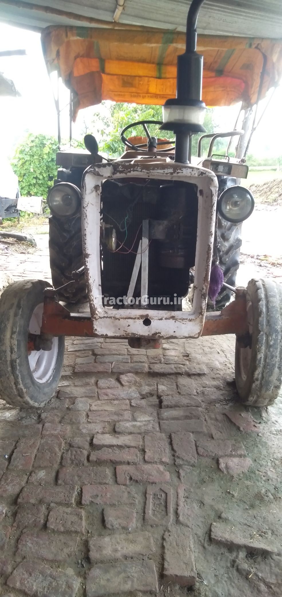 Escorts 325