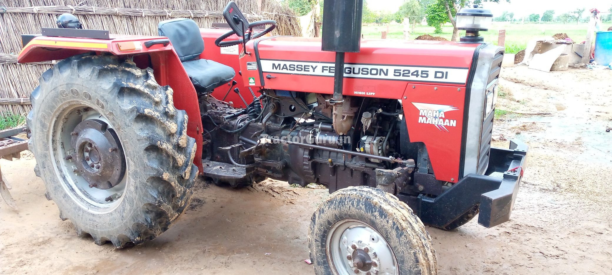 Massey Ferguson 5245 DI MAHA MAHAAN