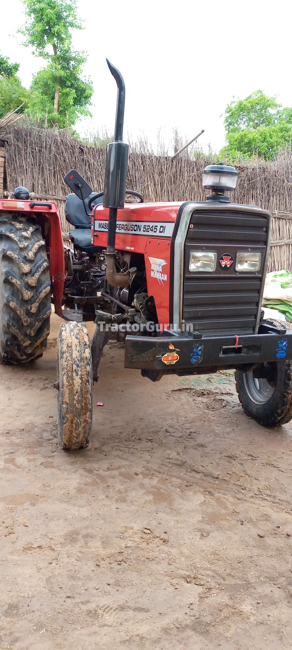 Massey Ferguson 5245 DI MAHA MAHAAN