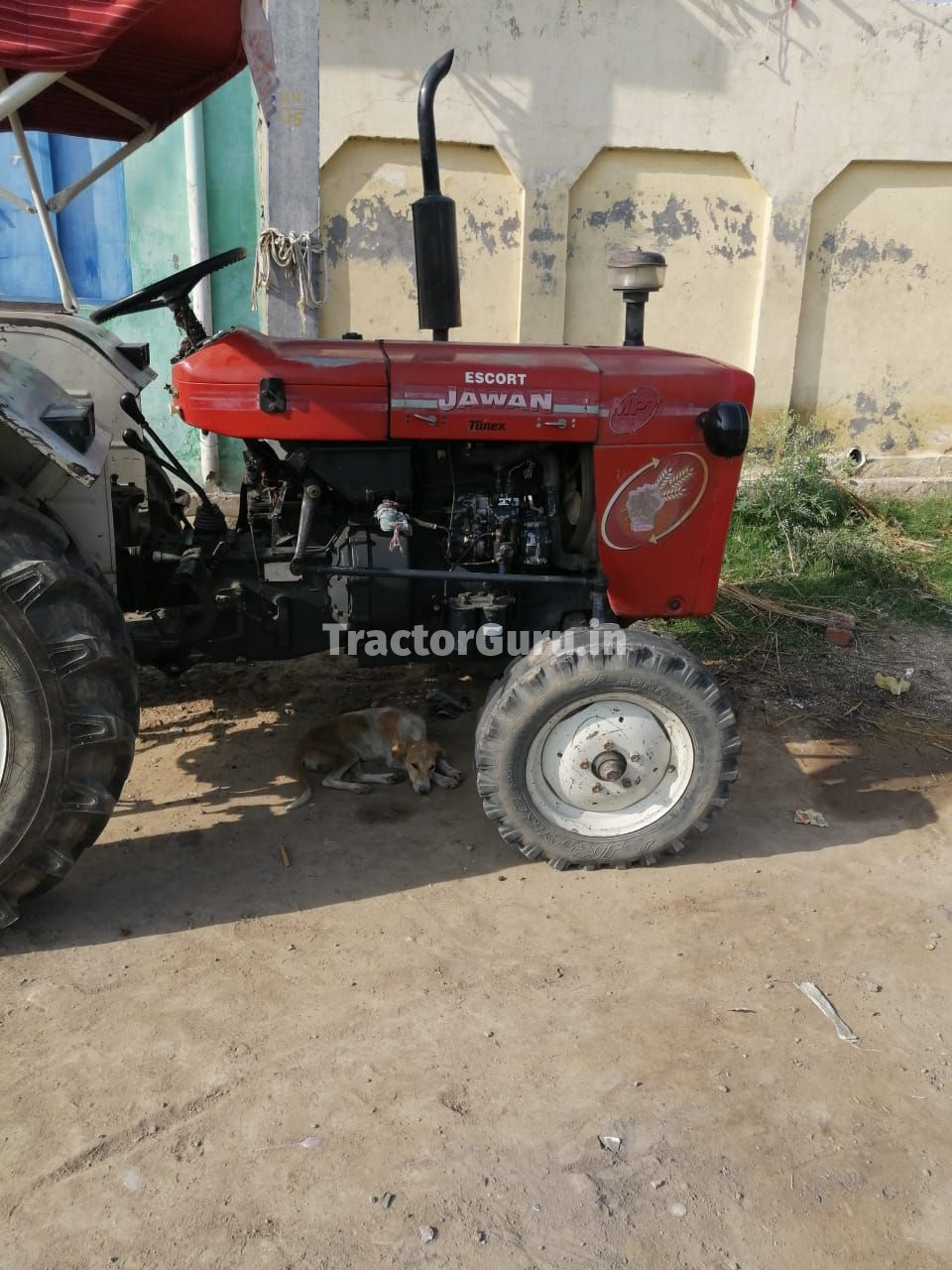 Escorts 325