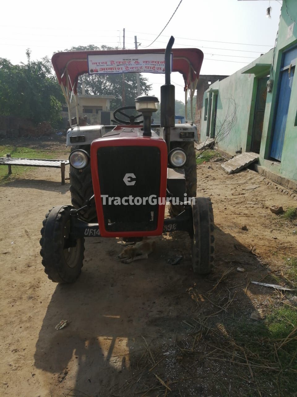 Escorts 325