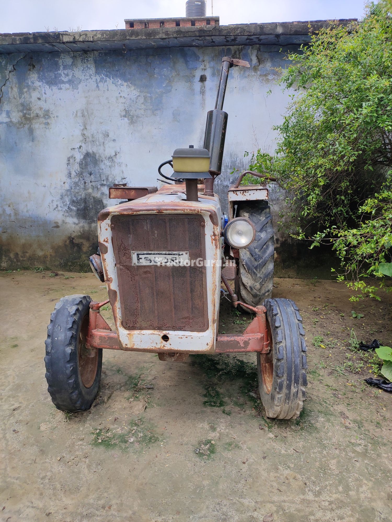 Escorts 325