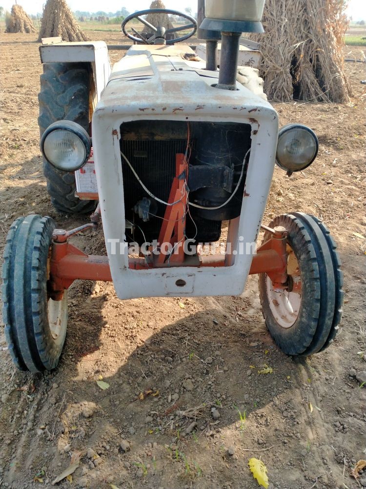 Escorts 325