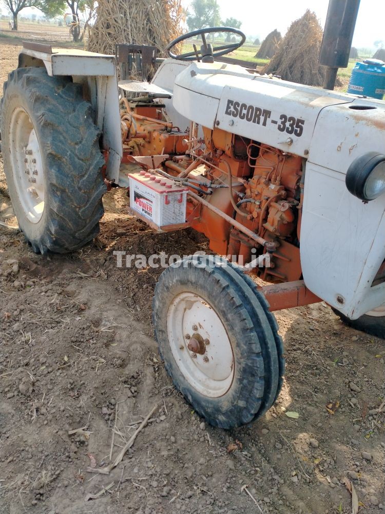 Escorts 325