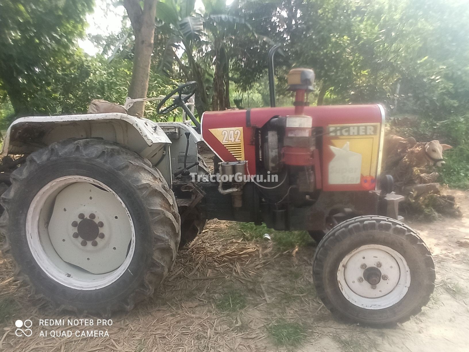 Eicher 242 SUPER STAR