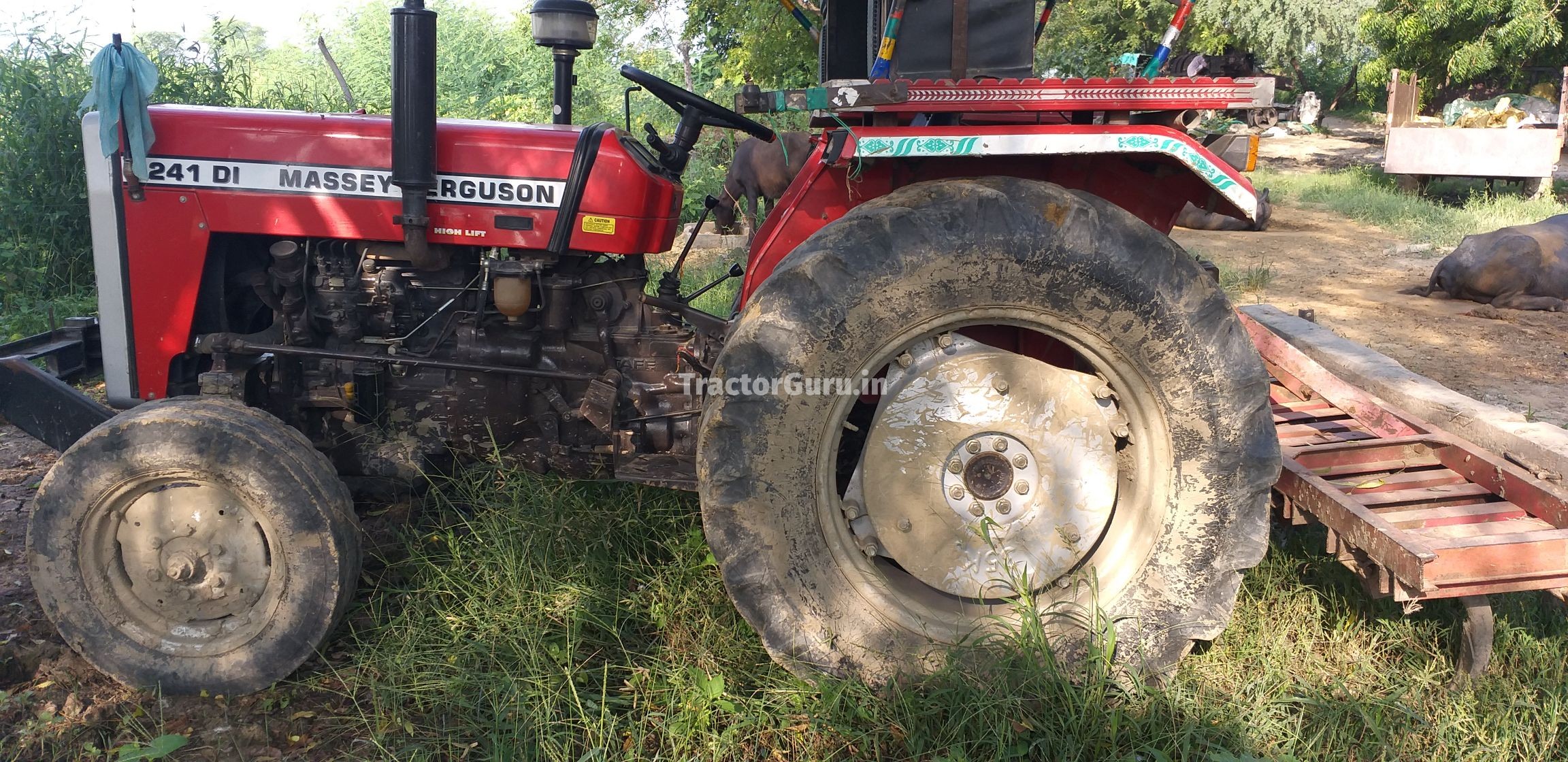 Massey Ferguson 241 DI