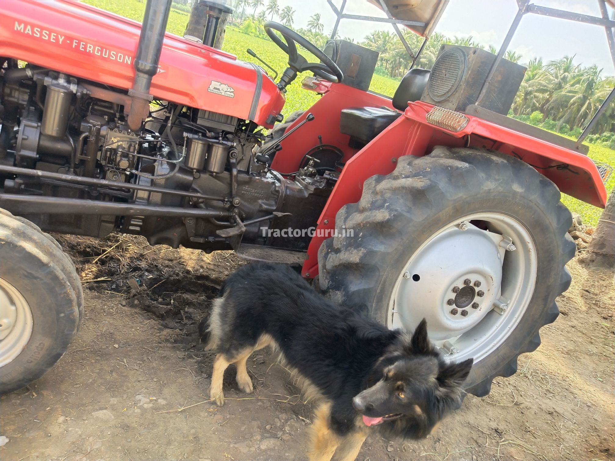 Massey Ferguson 1035 DI