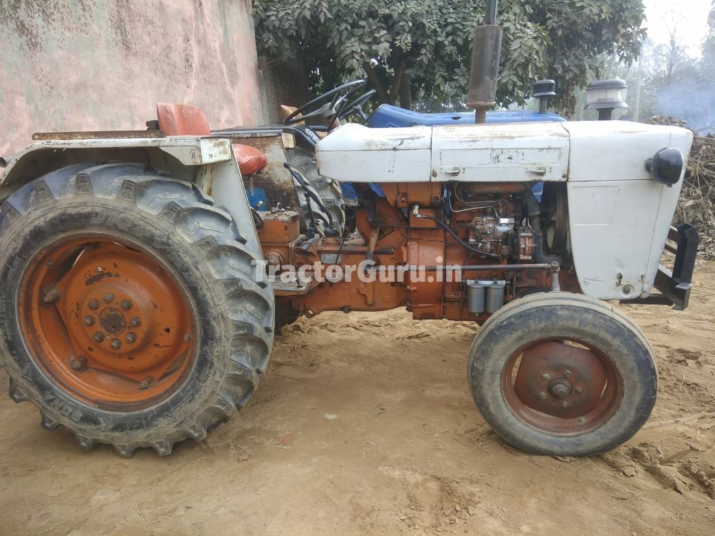 Escorts 325