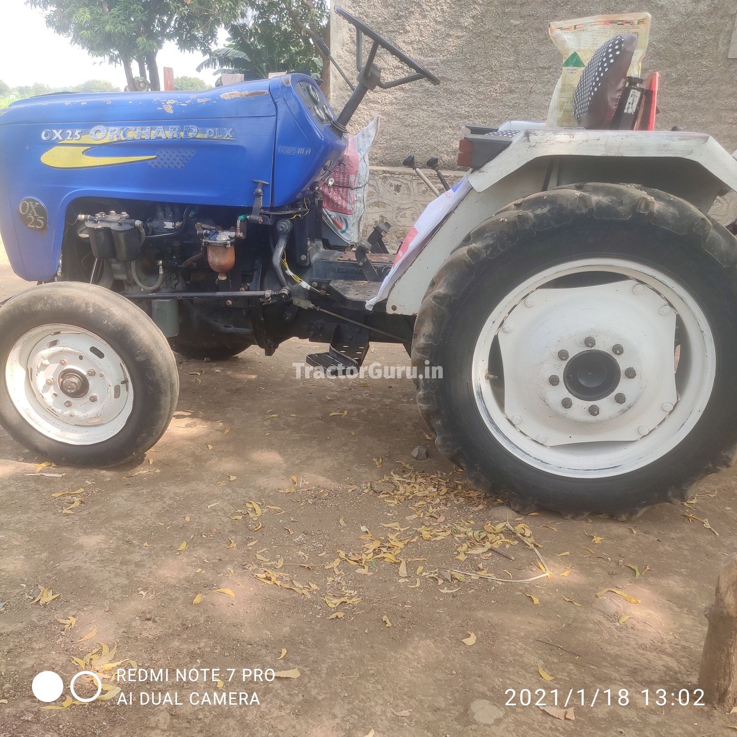 Force OX 25 ORCHARD DLX