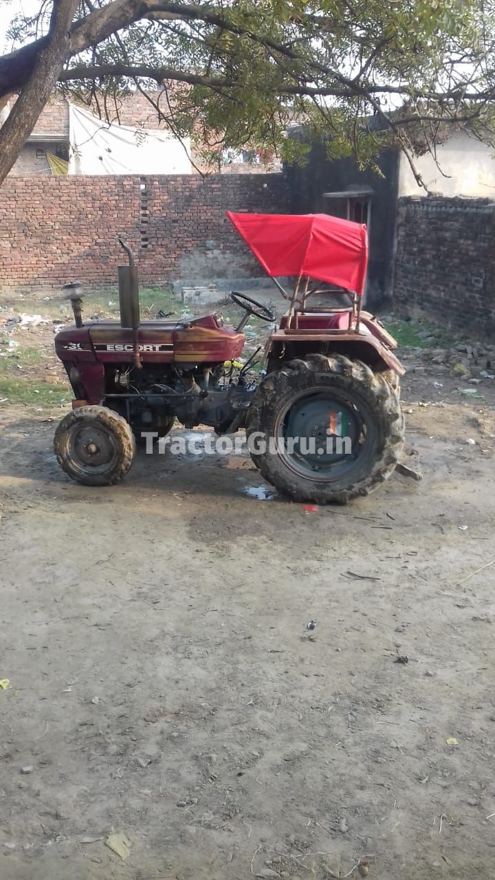 Escorts 355