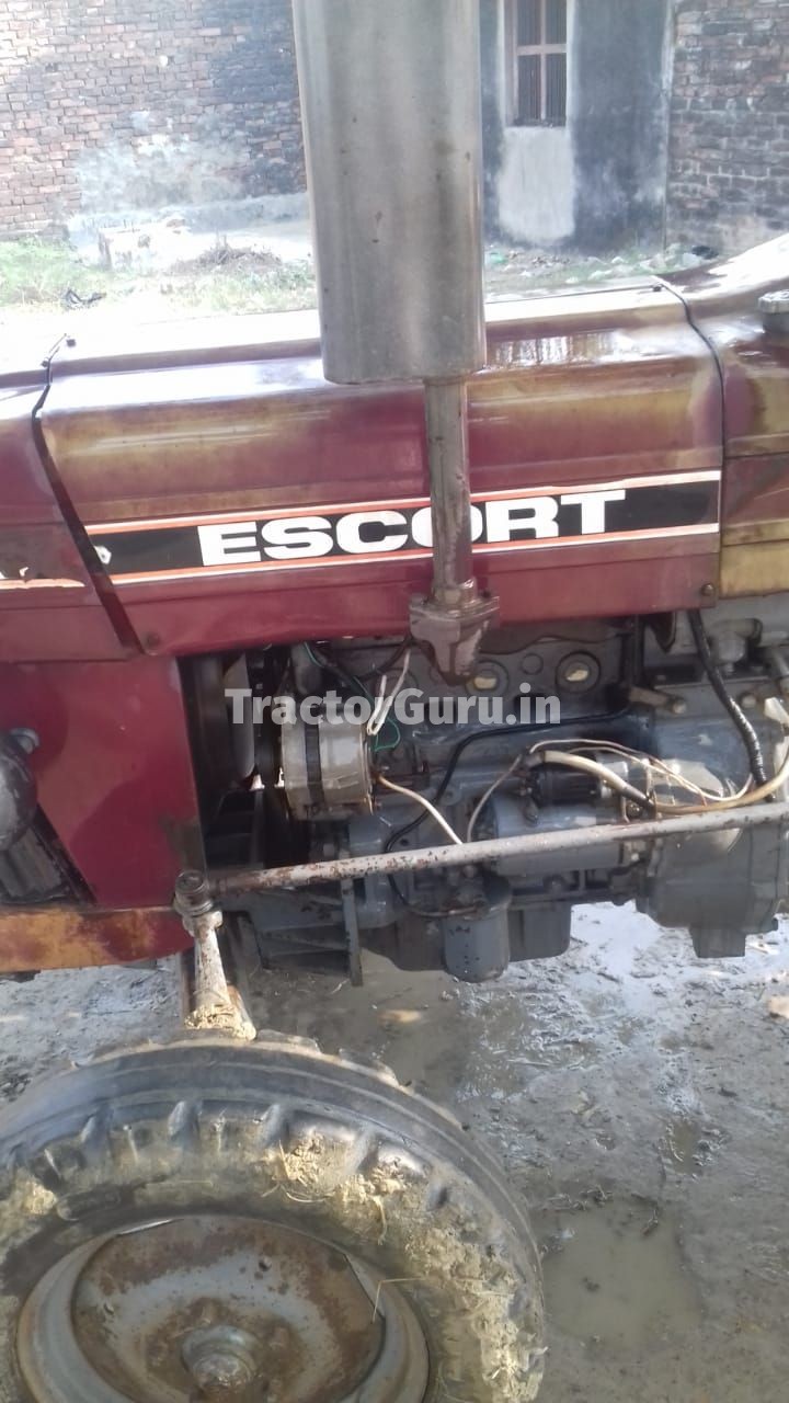 Escorts 355
