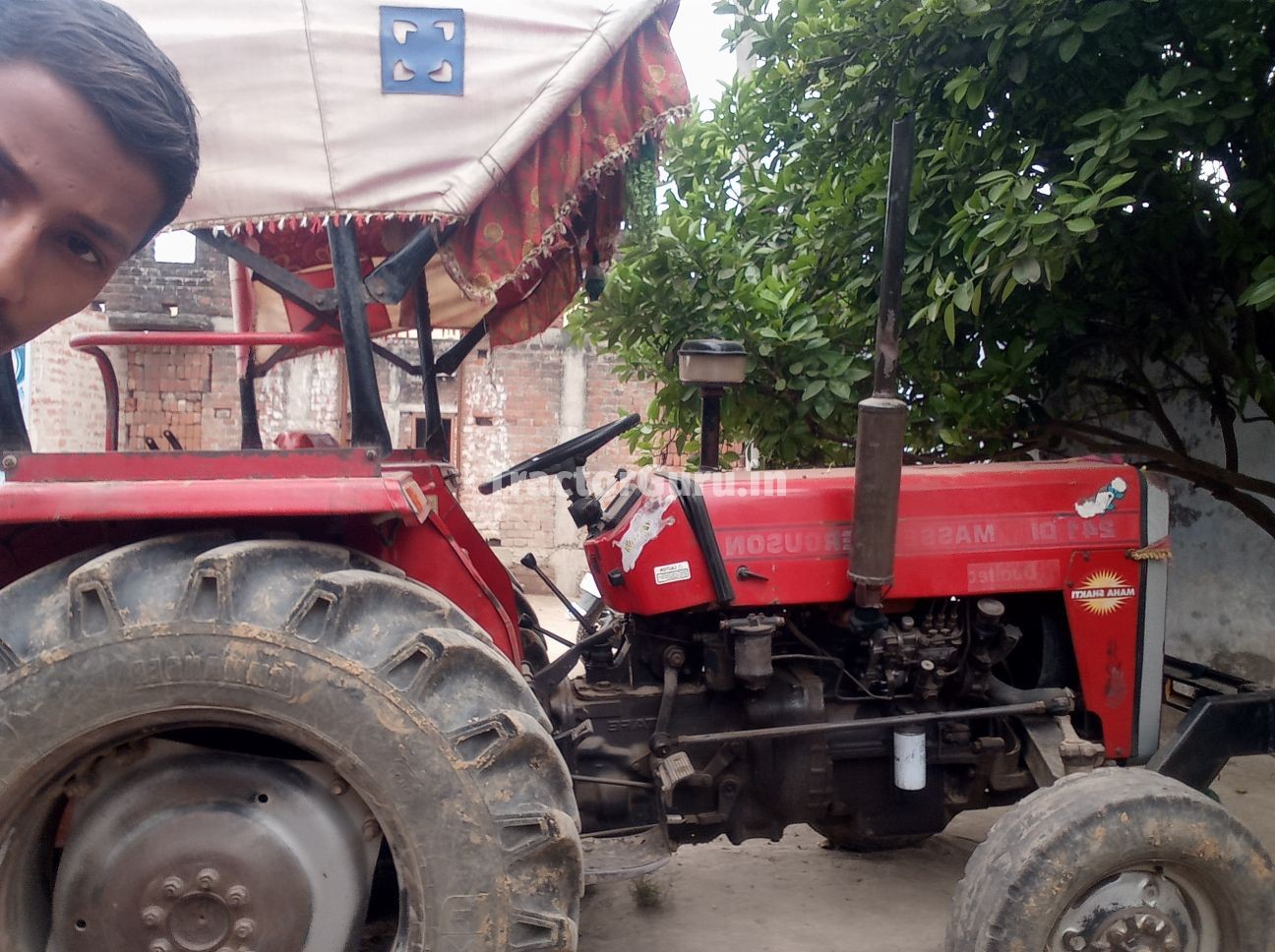 Massey Ferguson 241 DI