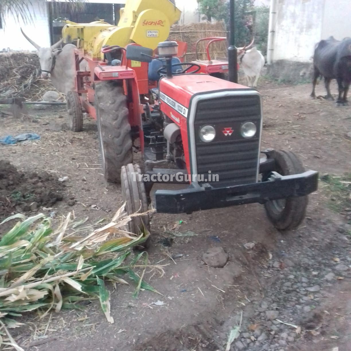 Massey Ferguson 1030 DI
