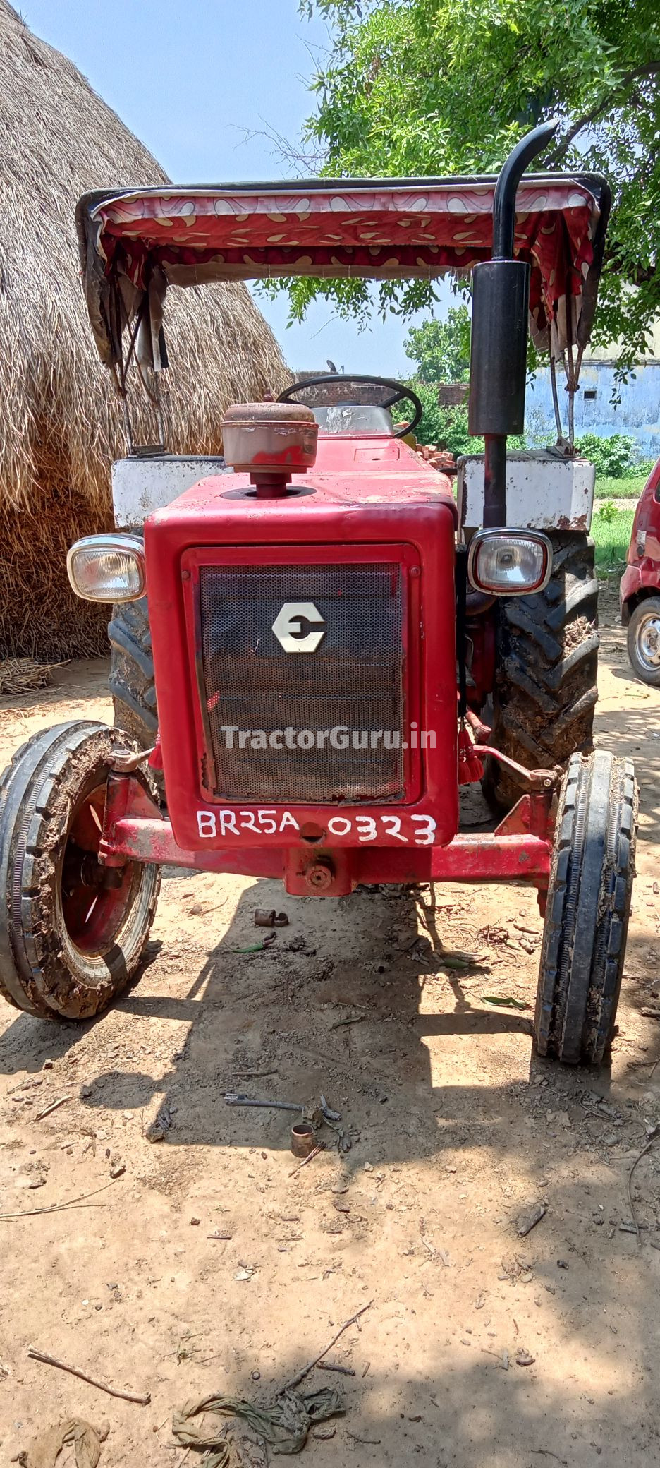 Escorts 325