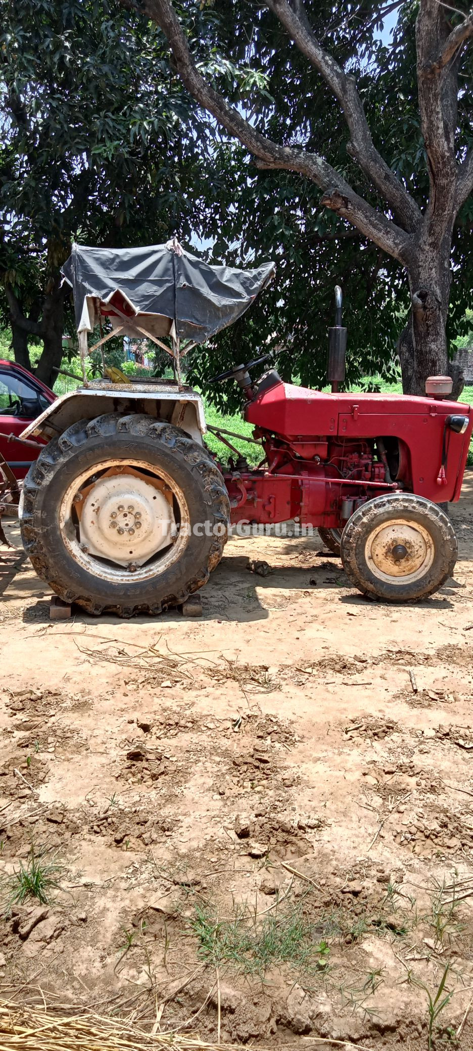 Escorts 325