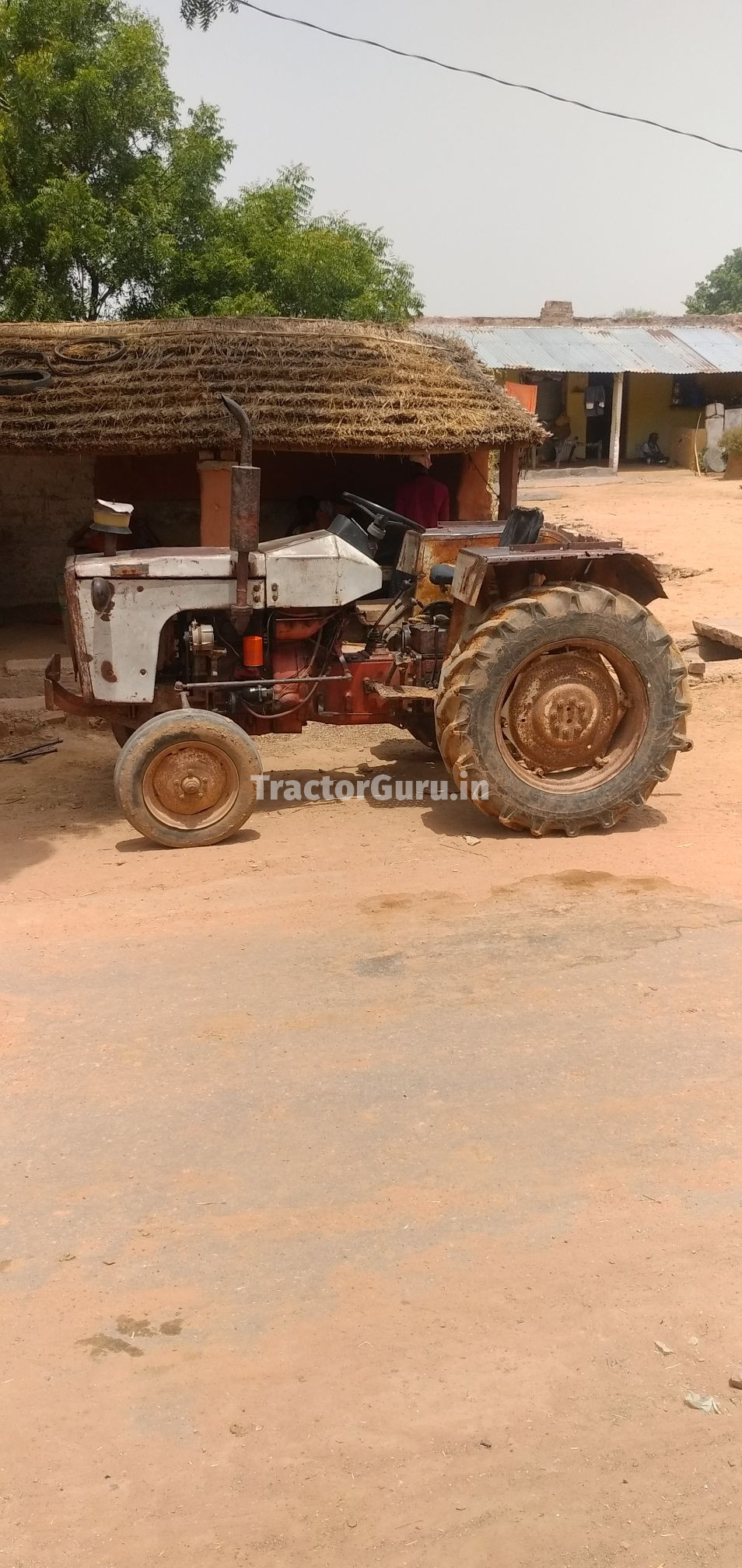 Escorts 325
